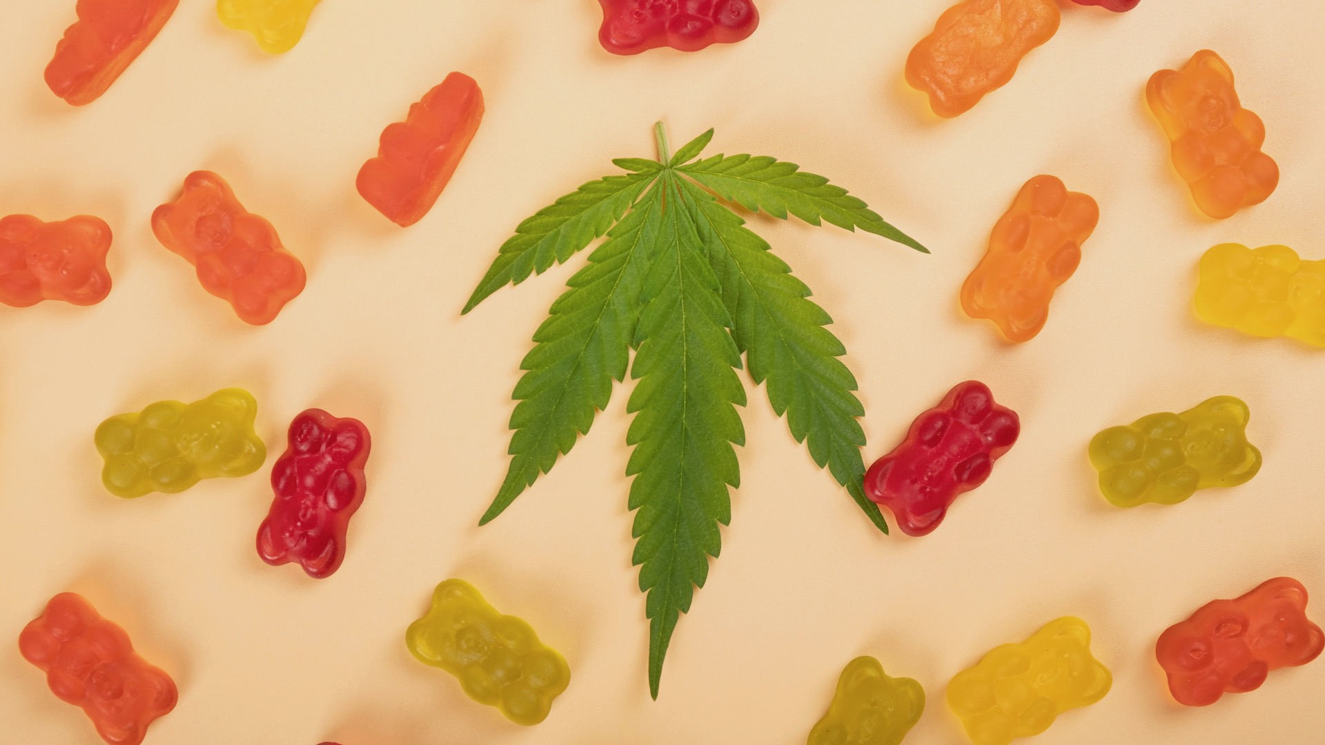 The Complete Buyer's Guide to Delta 9 Gummies Choosing the Best Cannabinoid Edibles